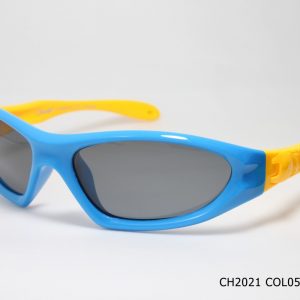 CH2021 COL05