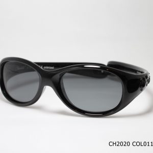 CH2020 COL011
