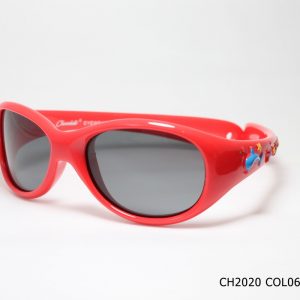 CH2020 COL06