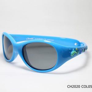 CH2020 COL05