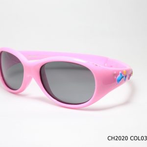 CH2020 COL03