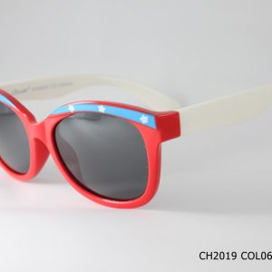 CH2019 COL06