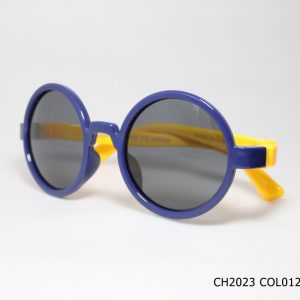CH2023 COL012