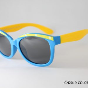 CH2019 COL05