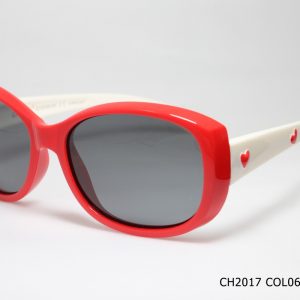 CH2017 COL06