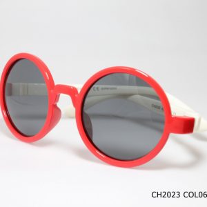 CH2023 COL06