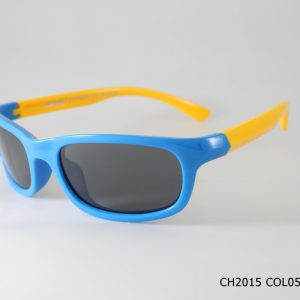 CH2015 COL05