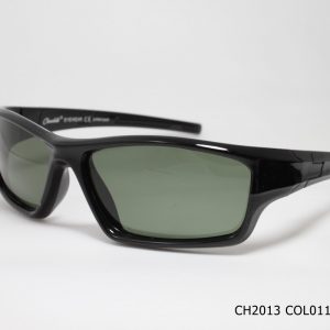 CH2013 COL011