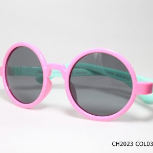 CH2023 COL03