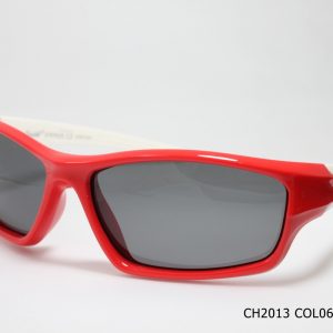 CH2013 COL06