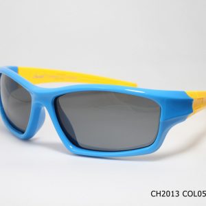 CH2013 COL05