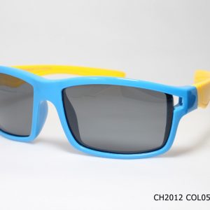CH2012 COL05