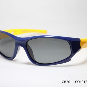 CH2011 COL012