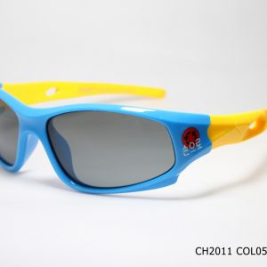 CH2011 COL05