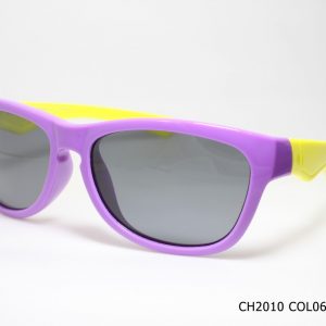 CH2010 COL06