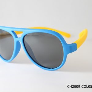 CH2009 COL05