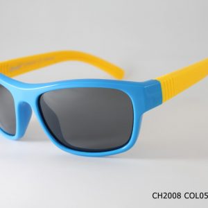 CH2008 COL05