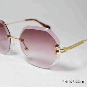 CH1073 COL01