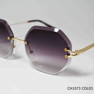 CH1073 COL03