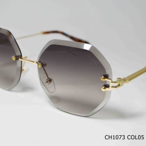 CH1073 COL05